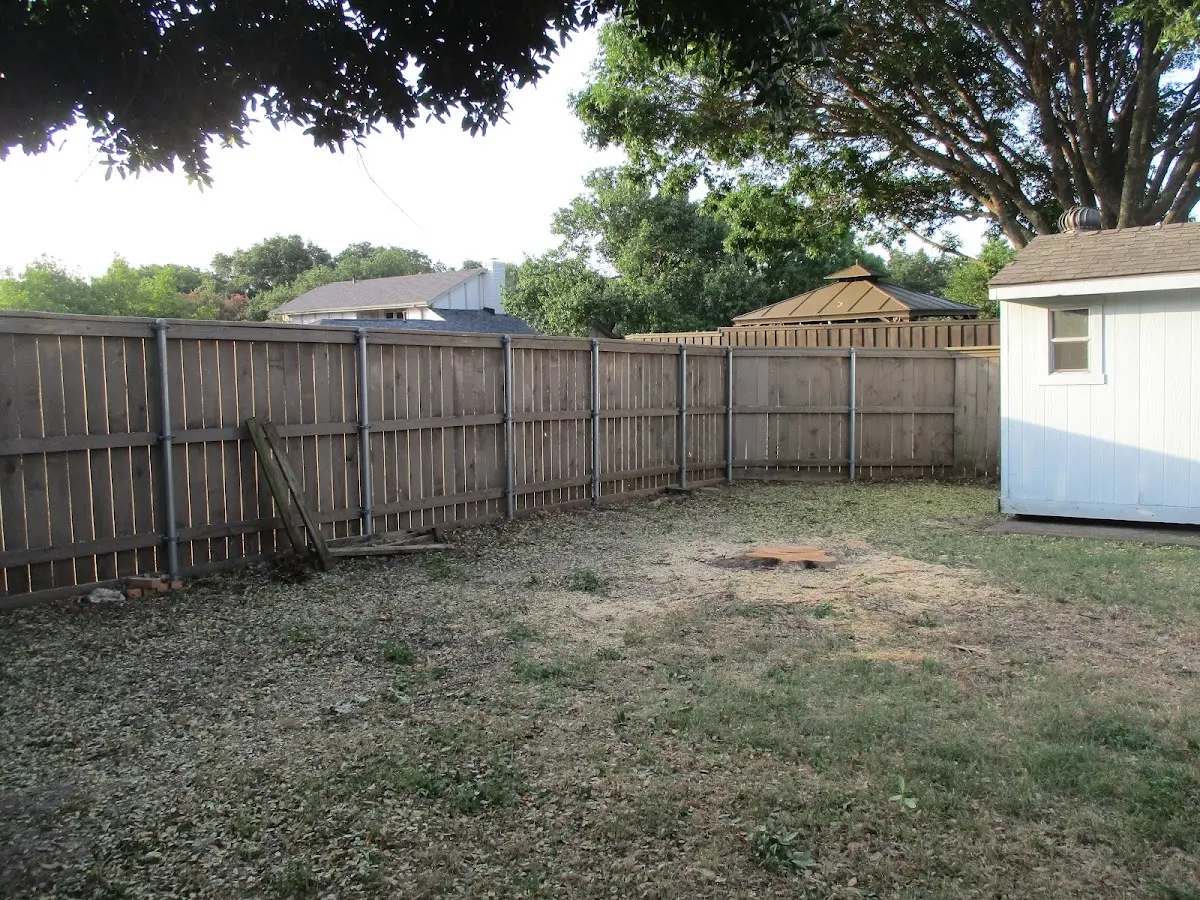 Cleared yard after professional tree removal in Camp Crook